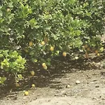 Apartmán Playa Locos *