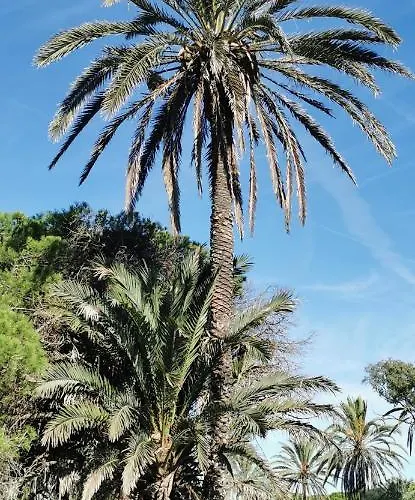 Playa Locos 아파트 또레비에하