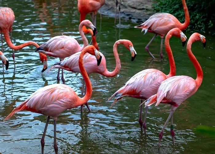 아파트 Playa Locos *