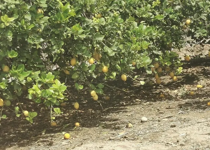 아파트 Playa Locos *