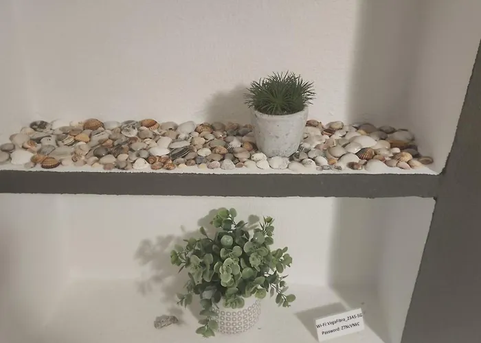 Playa Locos 아파트